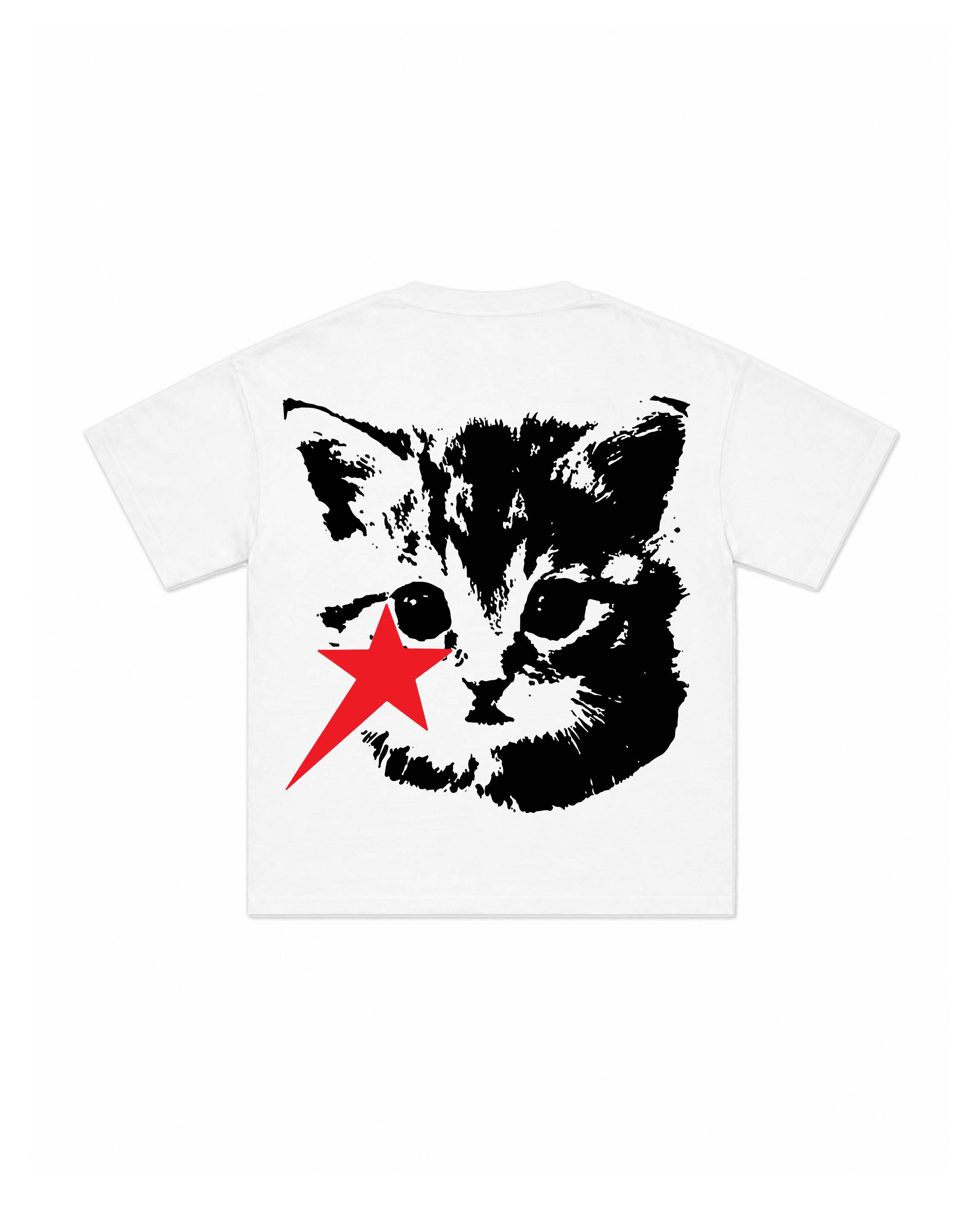 Star Trail Kitten Graphic Tee